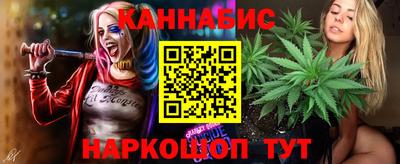 индика Заводоуковск