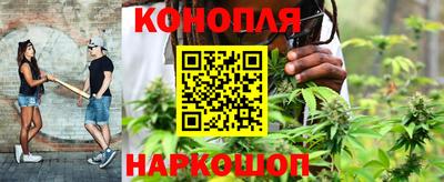 индика Заводоуковск