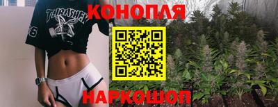 индика Заводоуковск