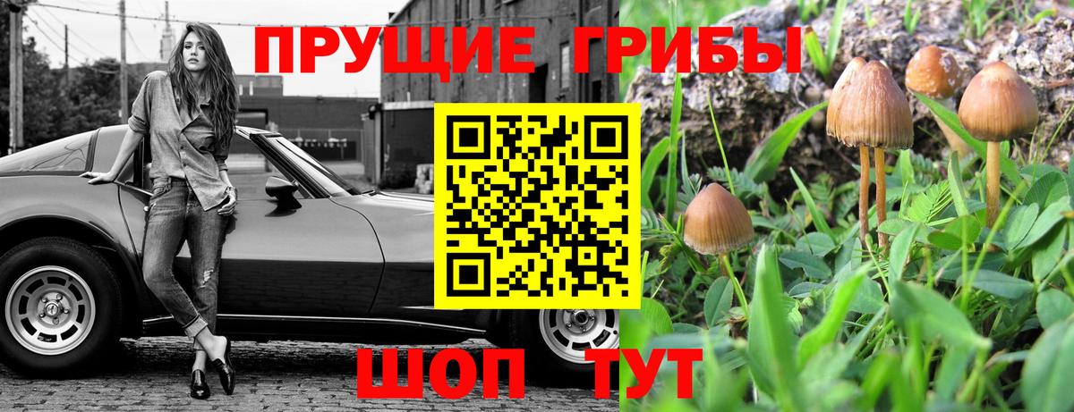 Псилоцибиновые грибы мухоморы Великие Луки